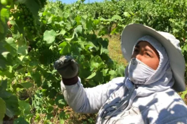 Durso: It’s time to pay farmworkers overtime