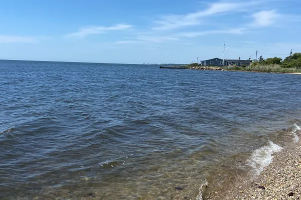 Great South Bay