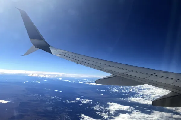 Plane wing