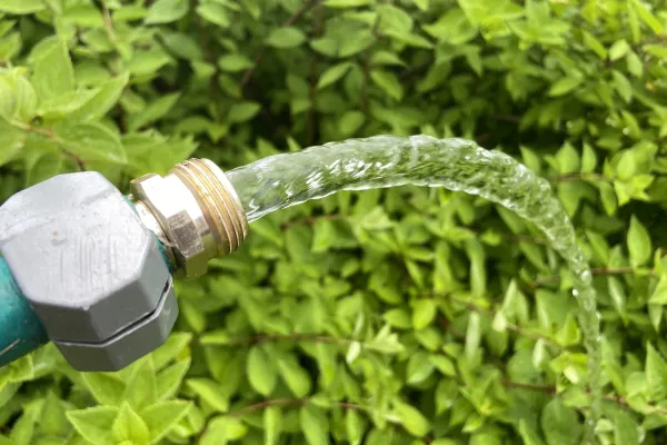 Water