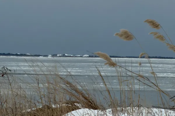 Frozen Bay