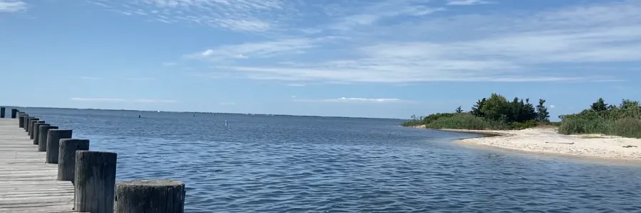 Water Quality