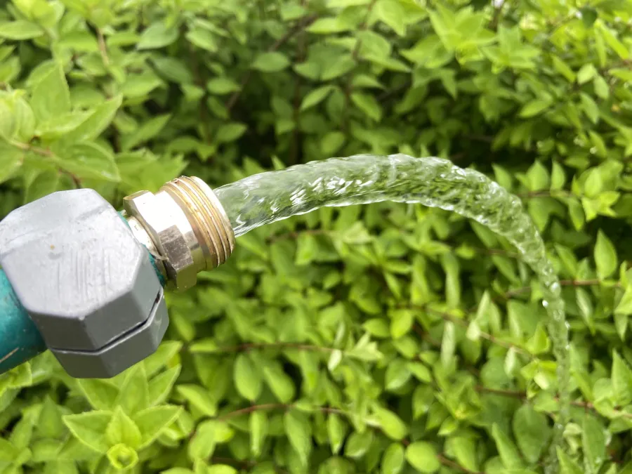 Water
