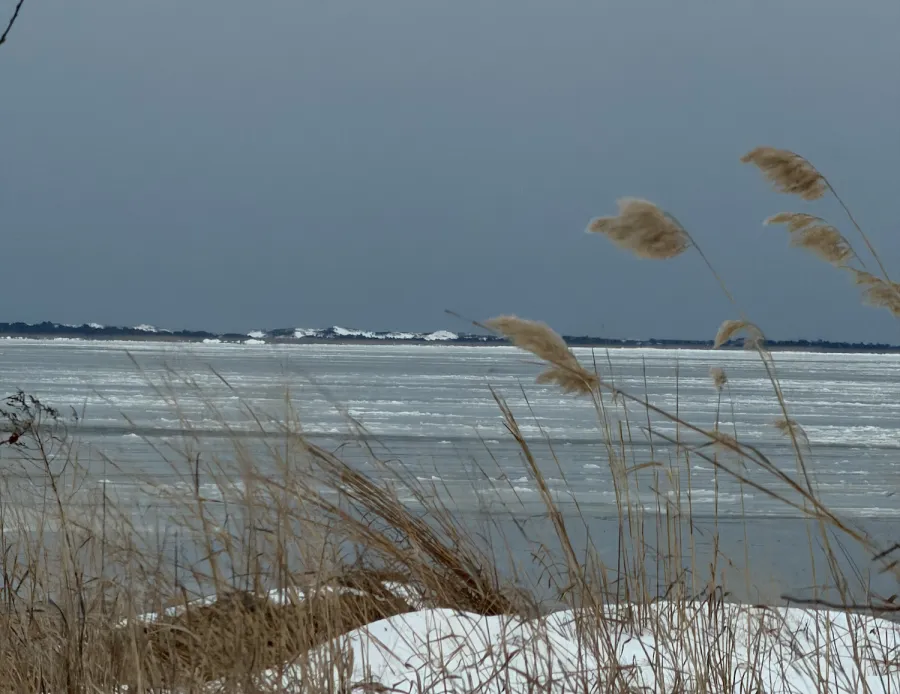 Frozen Bay